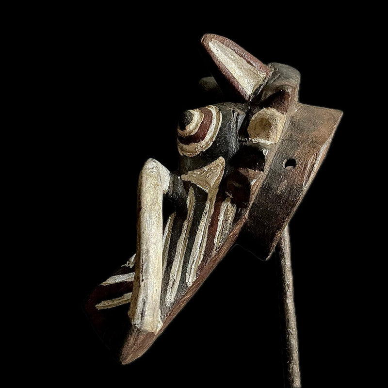 African Tribal Face Mask Wood Bwa Warthog Mask Tusk BOBO