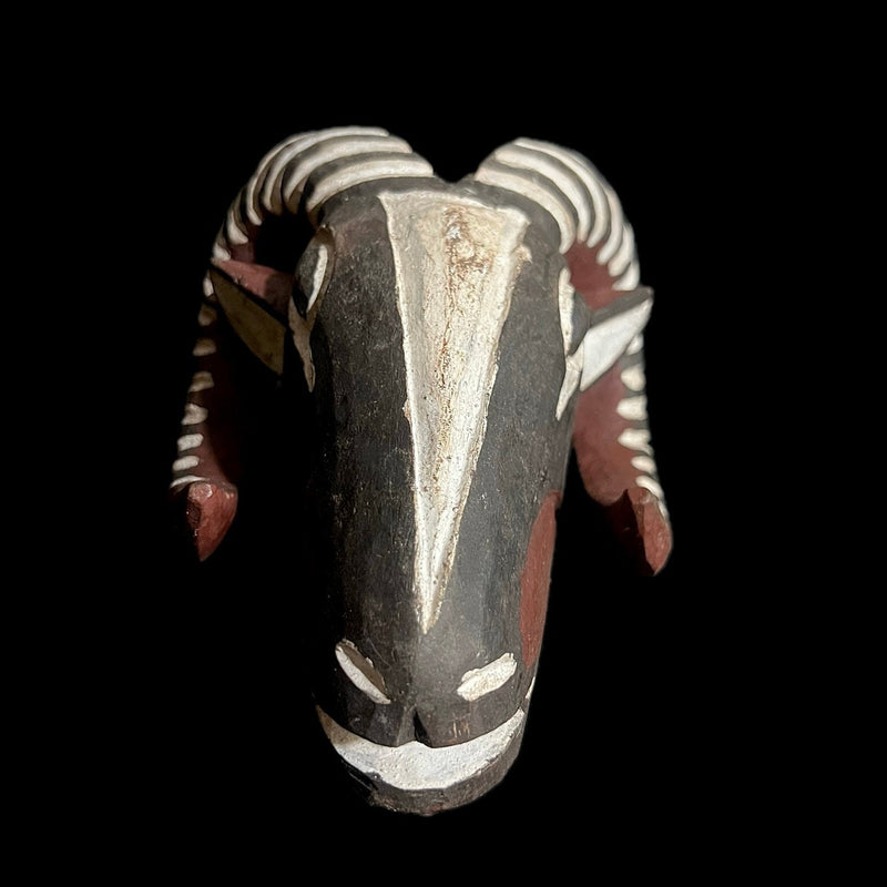 African Mask African Hand Carved Kan Antelope Mask Bwa Bobo Wall Hanging art -G1528