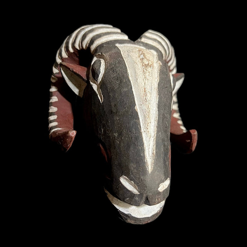 African Mask African Hand Carved Kan Antelope Mask Bwa Bobo Wall Hanging art -G1528
