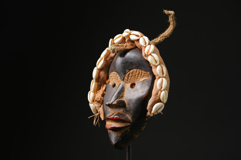 African Tribal Wood masks antiques wall mask wall hanging Dan cowrie shells-9729