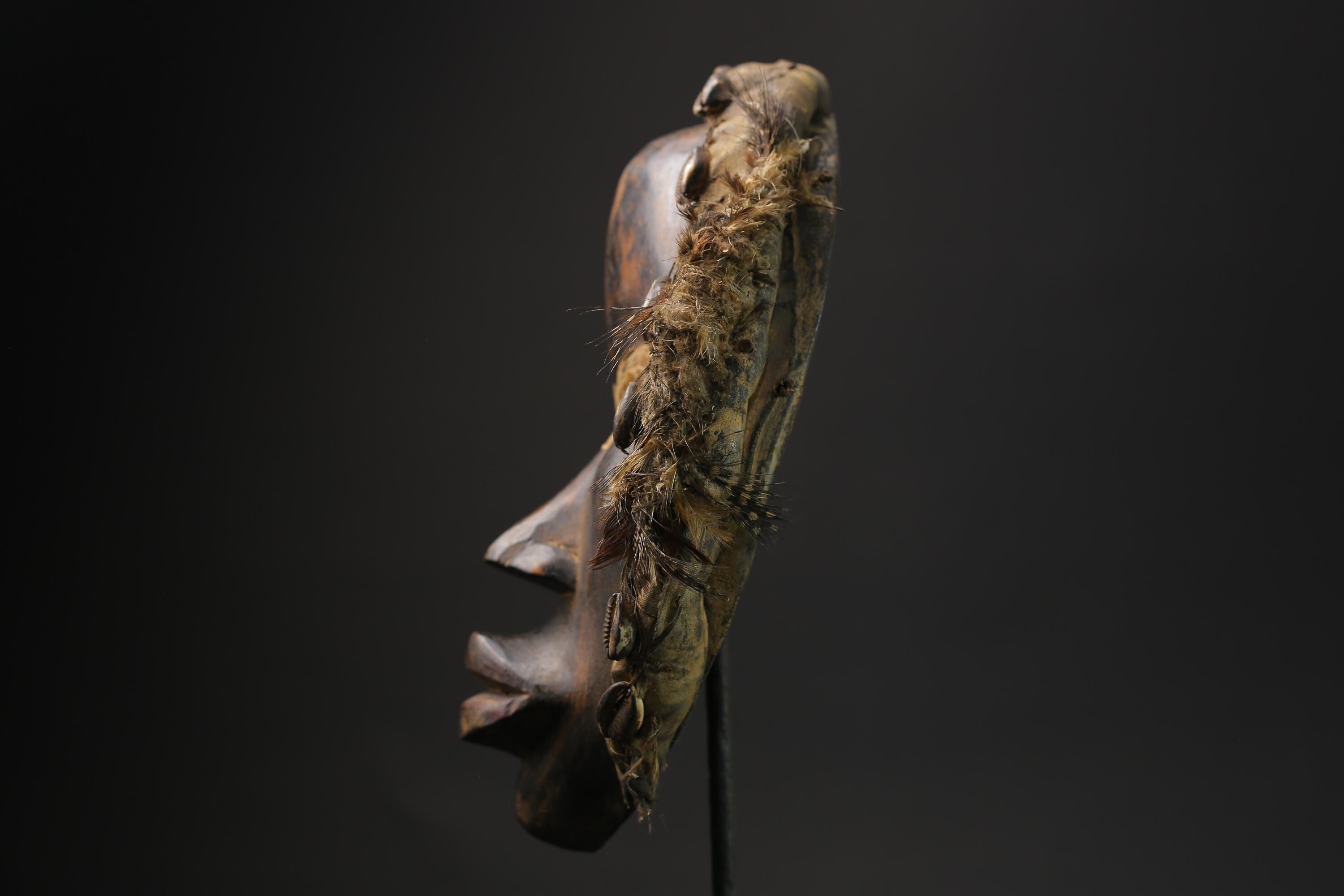 African Tribal Face Mask Dan Zakpai Mask Home Décor masks for wall -9801