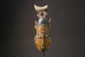 African wood mask antiques Baoulé Kpan Hand Carved Tribal Mask African Art-7179