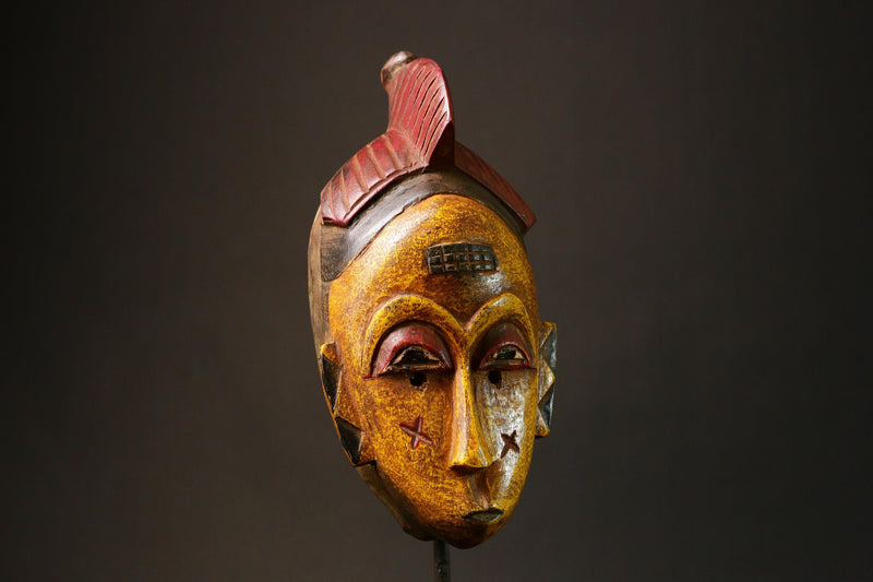 African Stunning Authentic Baule Tribe Wood Crest Mask Unique Art Collectibl Sculpture Perfect for Home Decor and Cultural Enthusiasts-G3189