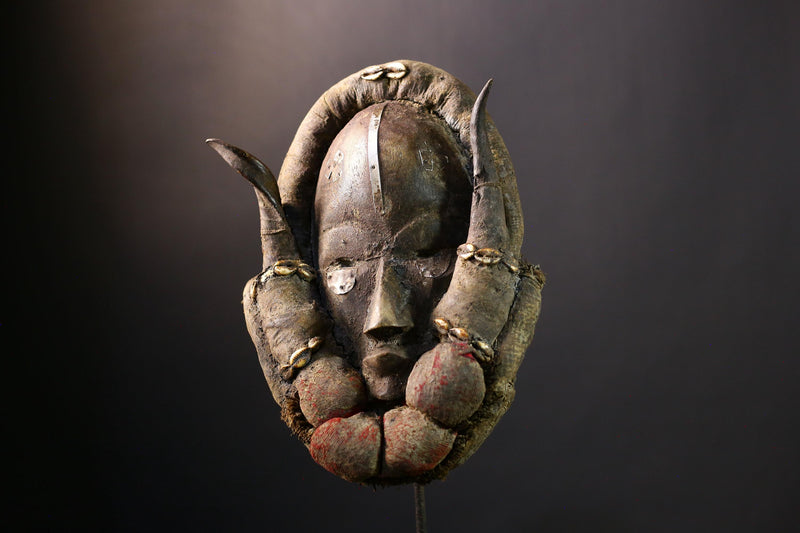 African Mask - Hand-Carved Dan Gle Tribal Sculpture, Unique Wooden Wall Art, Ethnic Home Decor Collectible for Art Collectors-G3816