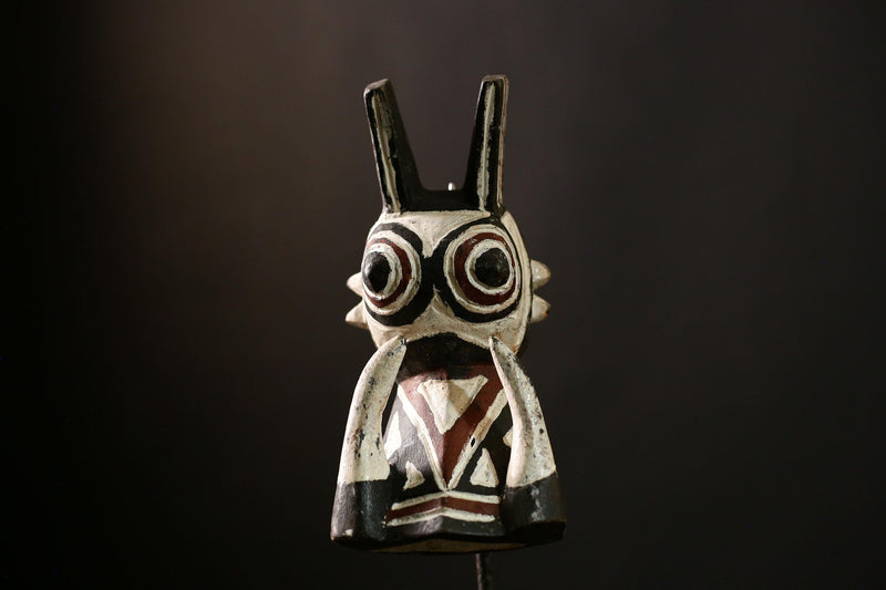 African Bush Pig Mask Face Mask Bwa Kurumba Mossi Mask Wall Hanging -G4150