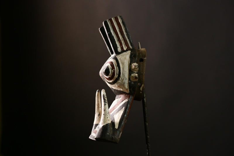 African Bush Pig Mask Face Mask Bwa Kurumba Mossi Mask Wall Hanging -G4150