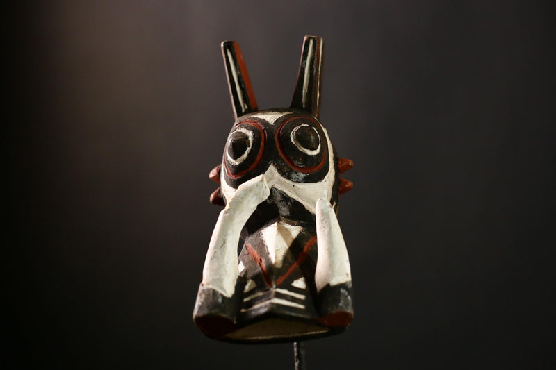 African Bobo Bush Pig Mask - Tribal Wall Hanging Art Decor from Bwa - Unique Wooden Sculpture for Home and Collectibles Display-G4175