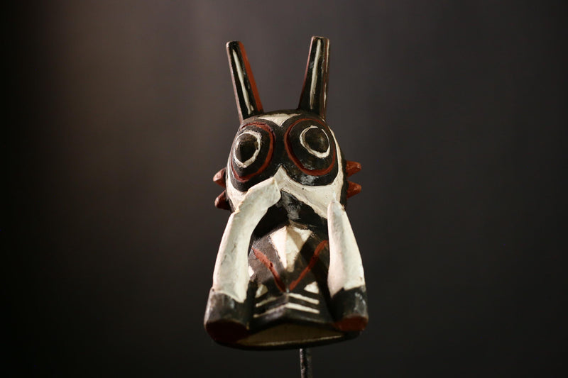 African Bobo Bush Pig Mask - Tribal Wall Hanging Art Decor from Bwa - Unique Wooden Sculpture for Home and Collectibles Display-G4175