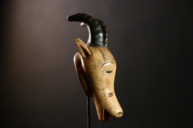 African Antelope Guro Mask White Sculpture | Unique Burkina Faso Home Decor | Artisan Collectible for African Art Lovers & Decorators-G4289