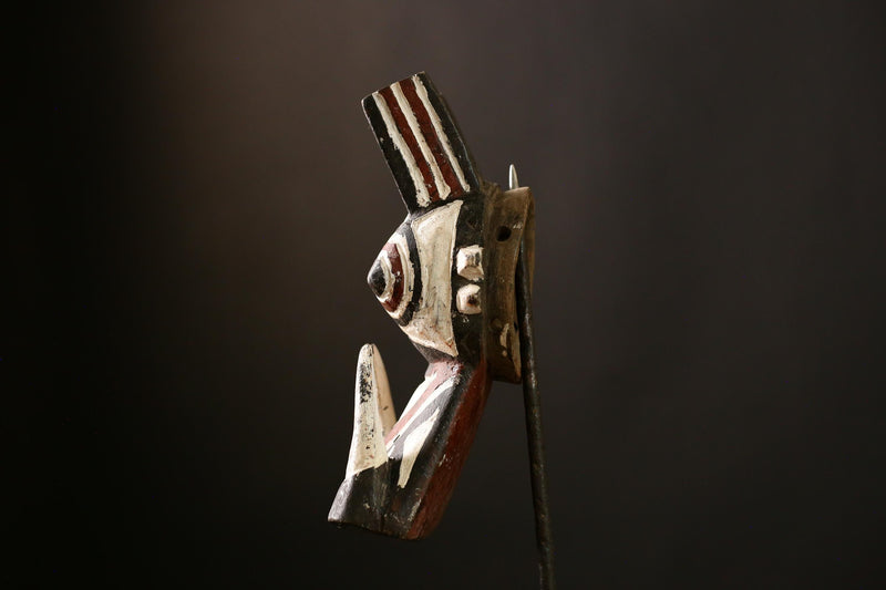 African Bush Pig Mask Face Mask Bwa Kurumba Mossi Mask Wall Hanging -G4150