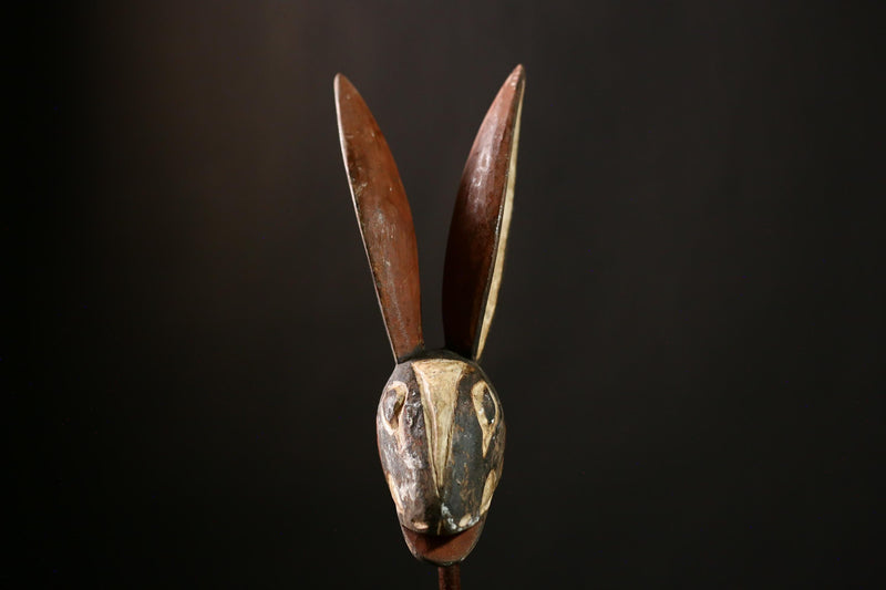 African Bobo Rabbit Masks Tribal Decorative Wall Hanging from Burkina Faso-G4172