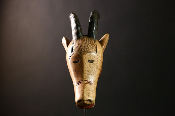 African Antelope Guro Mask White Sculpture | Unique Burkina Faso Home Decor | Artisan Collectible for African Art Lovers & Decorators-G4289