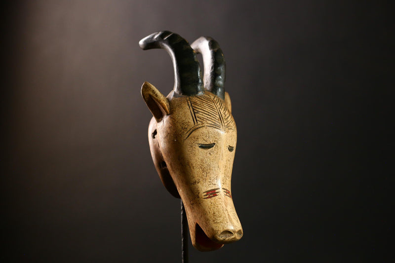 African Antelope Guro Mask White Sculpture | Unique Burkina Faso Home Decor | Artisan Collectible for African Art Lovers & Decorators-G4289