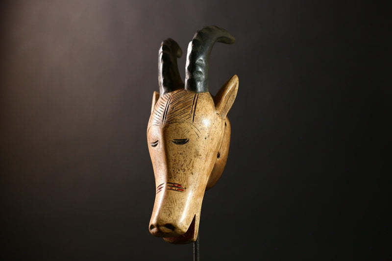 African Antelope Guro Mask White Sculpture | Unique Burkina Faso Home Decor | Artisan Collectible for African Art Lovers & Decorators-G4289