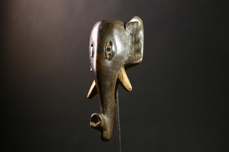 African Guro Elephant Mask Tribal Art Wooden Wall Decor Handcrafted Collectible Unique Sculpture-G4309