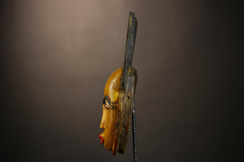 Handmade Bambara Ntomo Initiation Mask | African Tribal Wall Art | Unique Wooden Home Décor | Cultural Masque Display-G4926