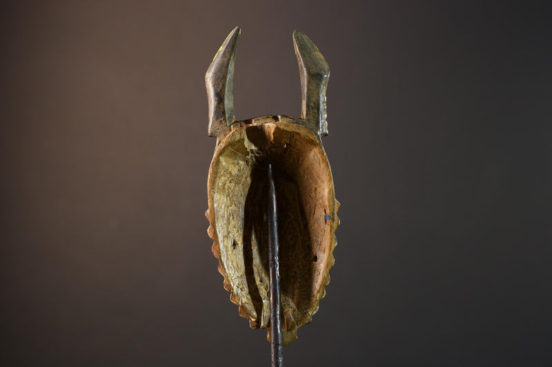 African wall mask, Baule horned face from Côte d’Ivoire, tribal blue sculpture, handmade wood carving, cultural home wall decor-G5393