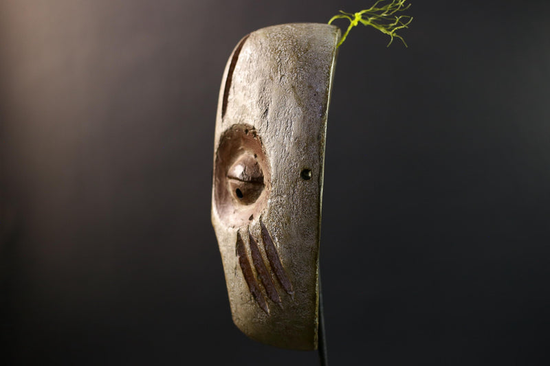 African Guere War Mask, Ivory Coast Tribal Wall Art, Hand-Carved Kaolin Wood Sculpture, Primitive Ethnic Home Decor-G5329