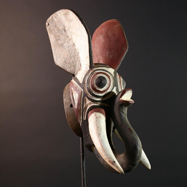 african elephant mask bwa tribal wall art burkina faso carving wood sculpture tusks animal spirit decor handmade festival  G5483