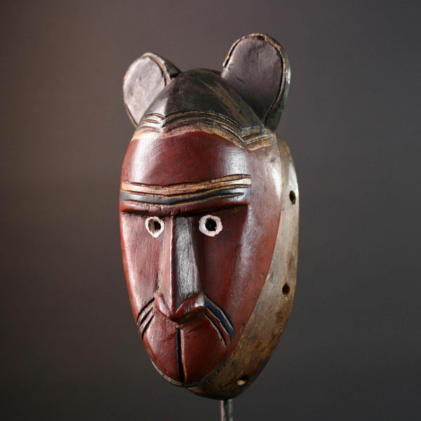 African mask Baule carving with animal ears red brown face tribal spirit wall decor hand carved wood sculpture spiritual home art-G5550