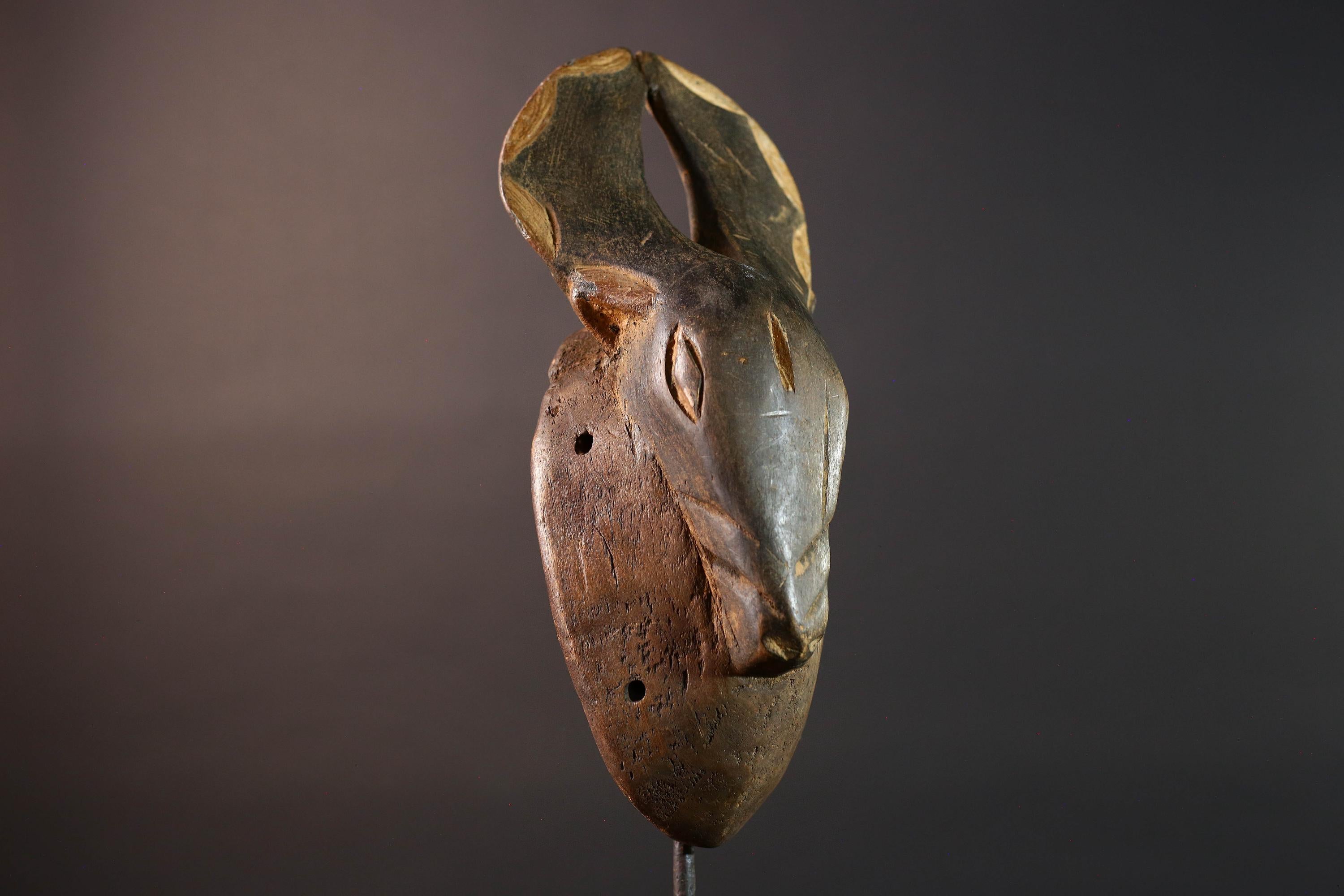 african chi wara antelope mask bamana wood carving tribal decor mali farming spirit wall art hand carved zoomorphic figure G5476