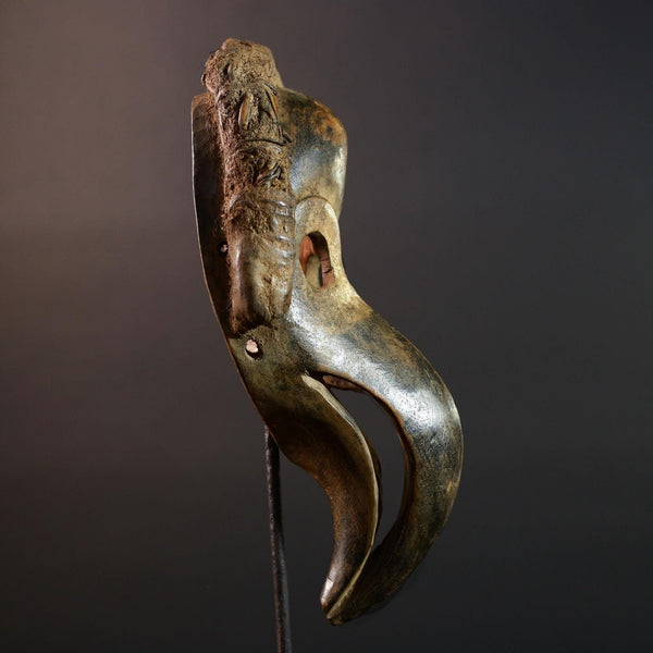 African Dan Bird Mask Hand Carved Tribal Beak Sculpture Vintage Wood Face Art Object Ceremonial Wall Decor Ethnic Home Accent G5581