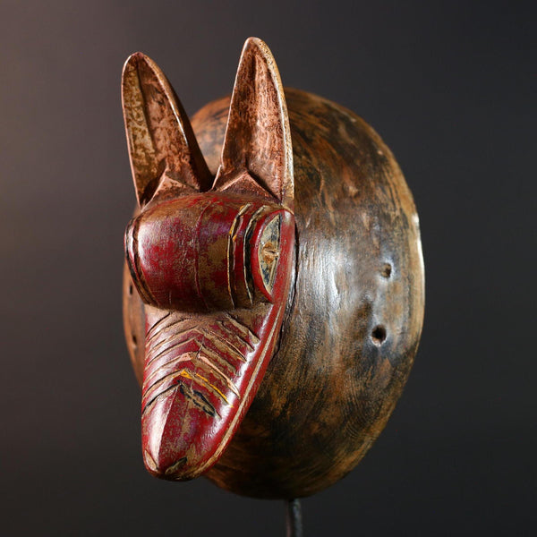 African Bwa Fox Mask Hand Carved Tribal Wood Animal Spirit Sculpture Vintage Red Snout Wall Decor Ethnic Art Figure From Africa G5584
