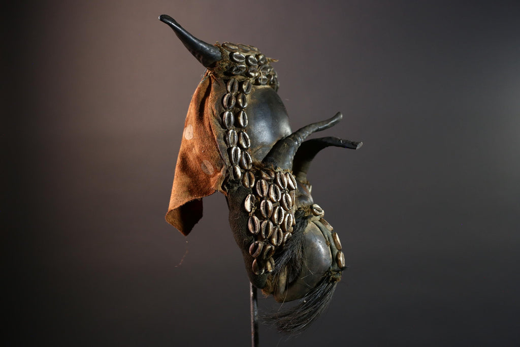 Africa Dan Cowrie Shell Mask Tribal Headdress Wood Carving Spirit Ritual Art Decor Cote d’Ivoire Authentic Folk Sculpture Wall Display-G5648