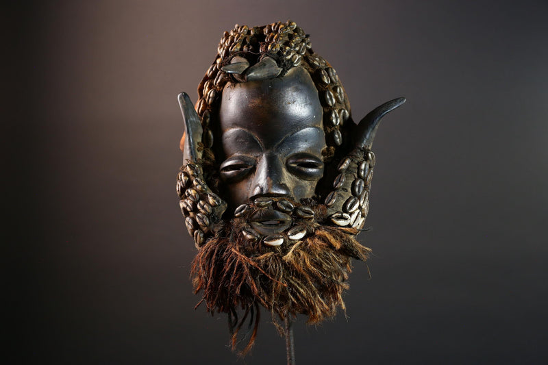 African Dan Cowrie Shell Mask Hand Carved Hardwood Ritual Art Decor from Ivory Coast with Buffalo Horn Accents for Home Display-G5650