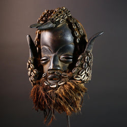 African Dan Cowrie Shell Mask Hand Carved Hardwood Ritual Art Decor from Ivory Coast with Buffalo Horn Accents for Home Display-G5650