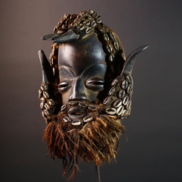 African Dan Cowrie Shell Mask Hand Carved Hardwood Ritual Art Decor from Ivory Coast with Buffalo Horn Accents for Home Display-G5650
