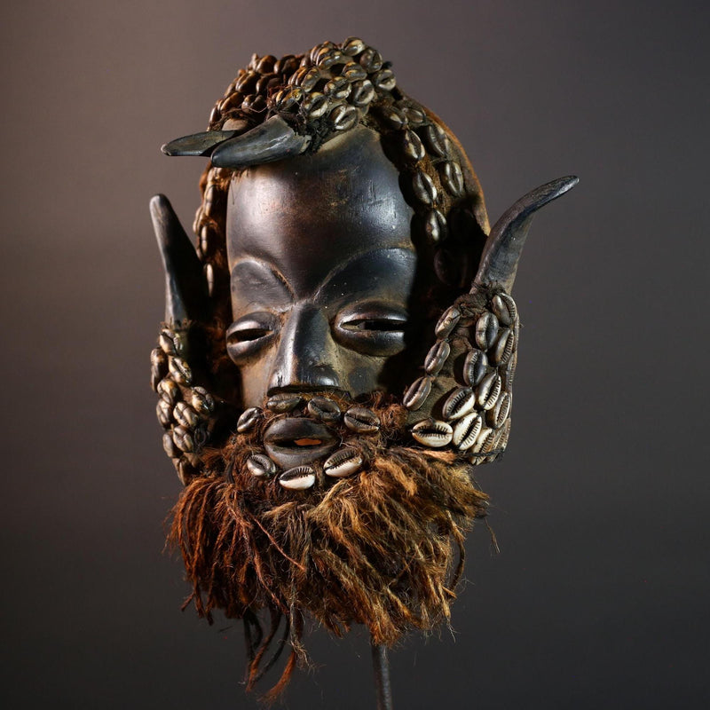 African Dan Cowrie Shell Mask Hand Carved Hardwood Ritual Art Decor from Ivory Coast with Buffalo Horn Accents for Home Display-G5650
