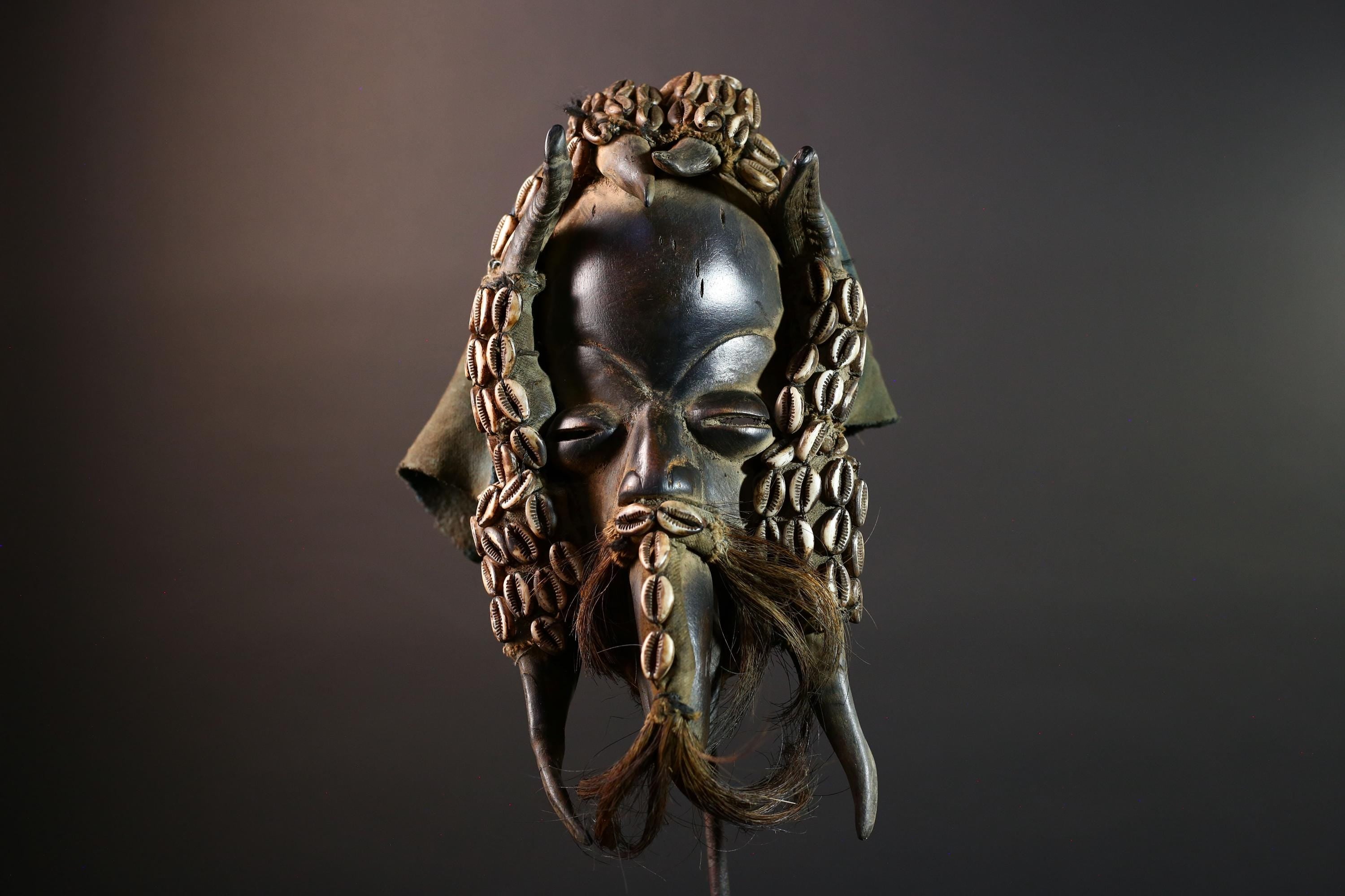 Authentic Dan Tribal Mask Hand-Carved Wood & Cowrie Shells – African Ethnic Wall Décor, Handmade Côte d’Ivoire Ritual Art, Fiber Beard-G5650