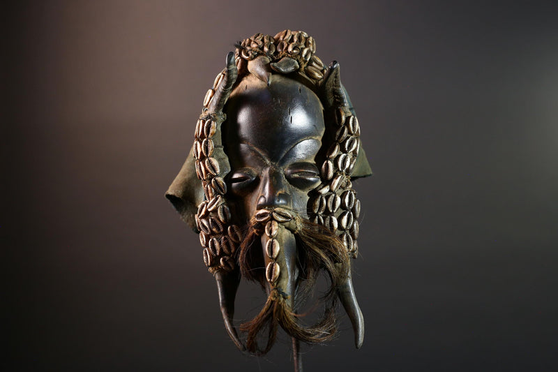 Authentic Dan Tribal Mask Hand-Carved Wood & Cowrie Shells – African Ethnic Wall Décor, Handmade Côte d’Ivoire Ritual Art, Fiber Beard-G5650