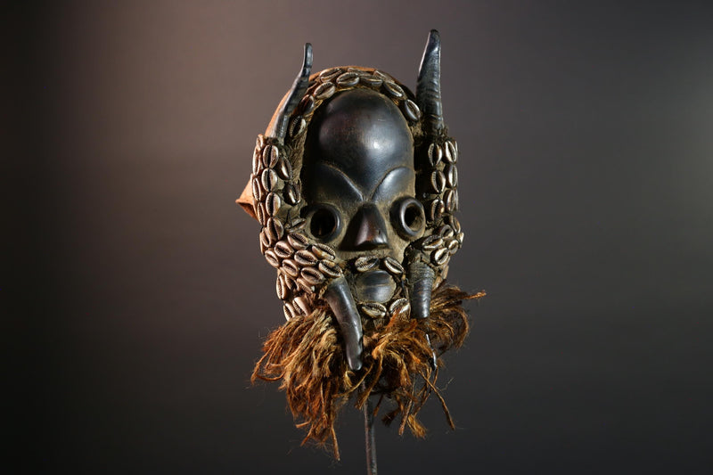 Vintage African Dan Mask with Cowrie Shells & Raffia Beard – Hand-Carved Hardwood Ritual Art from Côte d’Ivoire -G5652