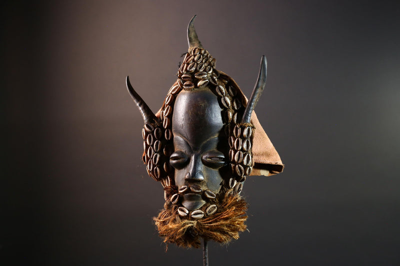 African Dan Tribal Mask Hand Carved Wood Cowrie Shell Raffia Beard Horns Authentic Cote dIvoire Ritual Art Decor Cultural Heritage-G5650