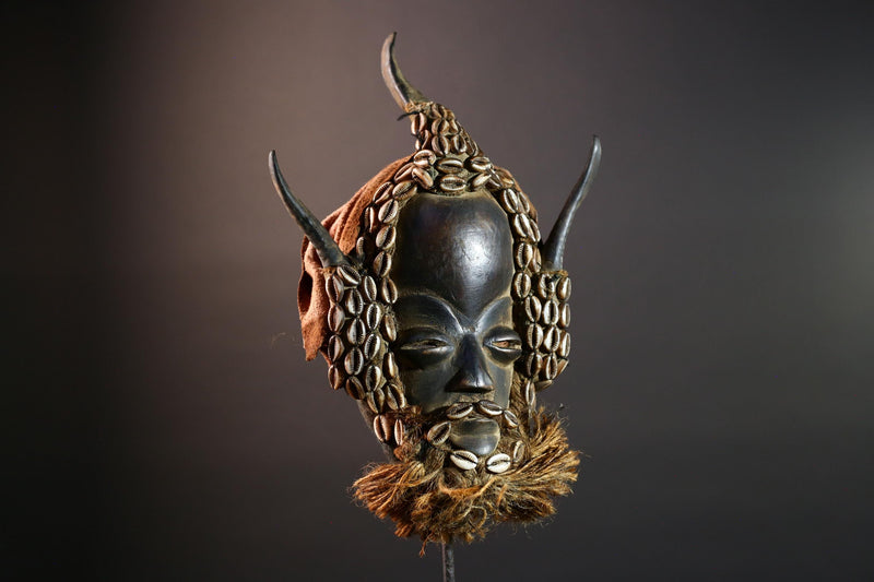 African Dan Tribal Mask Hand Carved Wood Cowrie Shell Raffia Beard Horns Authentic Cote dIvoire Ritual Art Decor Cultural Heritage-G5650