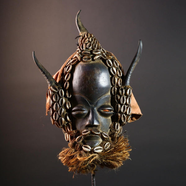 African Dan Tribal Mask Hand Carved Wood Cowrie Shell Raffia Beard Horns Authentic Cote dIvoire Ritual Art Decor Cultural Heritage-G5650
