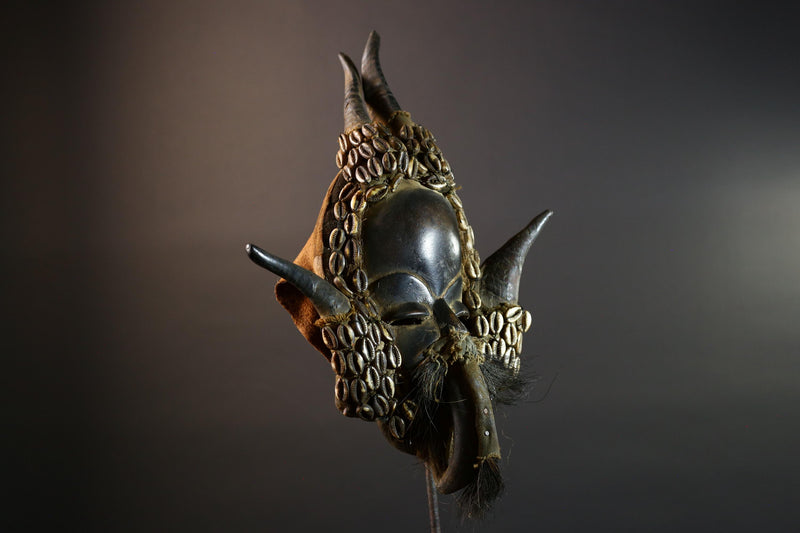 African Dan Mask Antelope Horn Headdress Carved Wood Tribal Face Côte d’Ivoire Wall Art Cowrie Shell Beard Decor-G5672