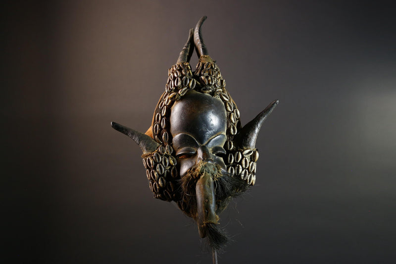 African Dan Mask Antelope Horn Headdress Carved Wood Tribal Face Côte d’Ivoire Wall Art Cowrie Shell Beard Decor-G5672