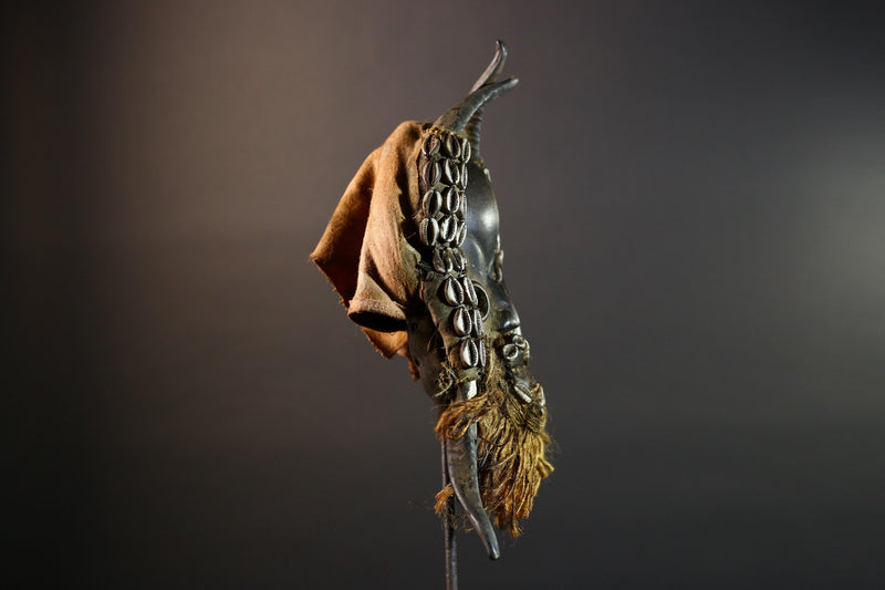 African Dan Mask Cowrie Shells Wood Face Antelope Horns Raffia Beard Tribal Art Decor from Liberia | Authentic Cultural Relic-G5673