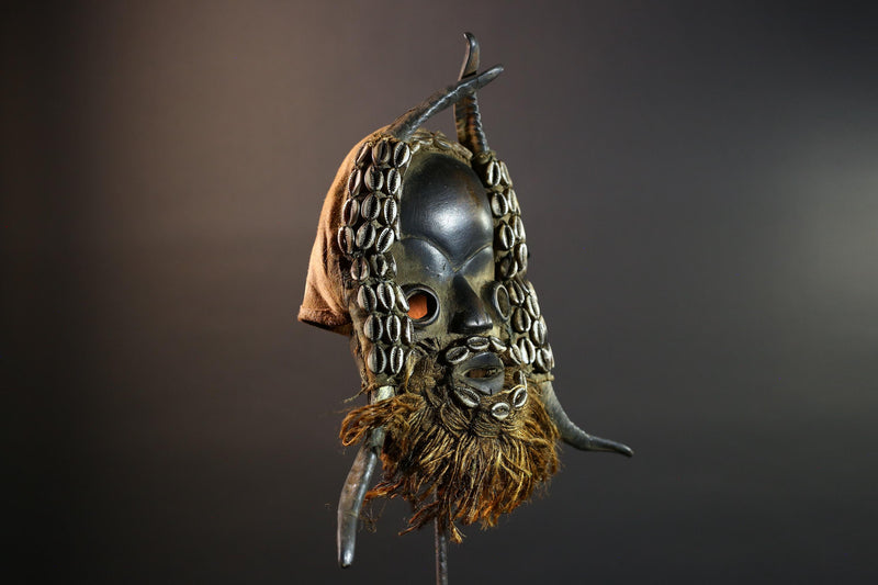 African Dan Mask Cowrie Shells Wood Face Antelope Horns Raffia Beard Tribal Art Decor from Liberia | Authentic Cultural Relic-G5673