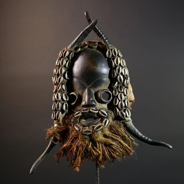African Dan Mask Cowrie Shells Wood Face Antelope Horns Raffia Beard Tribal Art Decor from Liberia | Authentic Cultural Relic-G5673