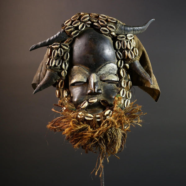 African Dan Mask Horns Cowrie Shells Tribal Wood Face with Raffia Beard and Cloth | Authentic West African Mask Decor from Liberia-G5674
