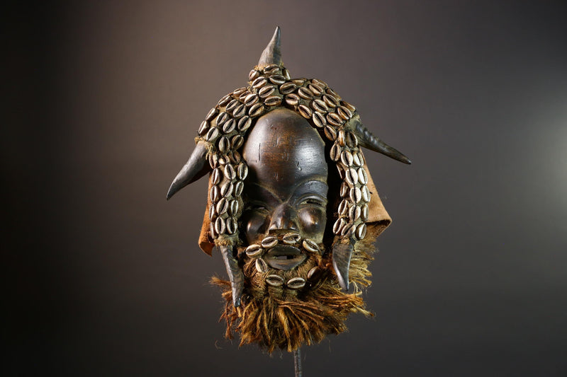 African Dan Wooden Mask with Cowrie Shells Horn Raffia Beard Cloth Backing Tribal Art Decor Home Wall Sculpture Vintage Rare Gift!-G5688