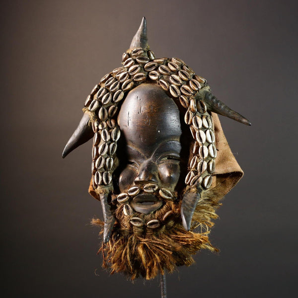 African Dan Wooden Mask with Cowrie Shells Horn Raffia Beard Cloth Backing Tribal Art Decor Home Wall Sculpture Vintage Rare Gift!-G5688