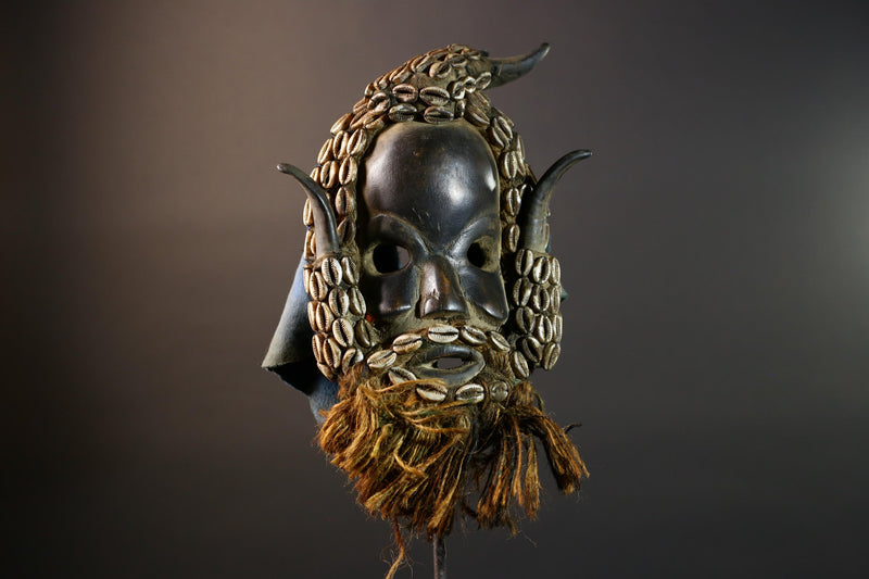 African Dan Wooden Mask Cowrie Shells Antelope Horn Raffia Beard Cloth Backing Tribal Art Home Decor Wall Sculpture Gift Vintage-G5689