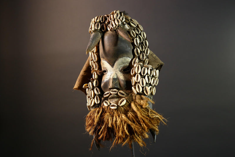 Authentic Dan Tribe Shell Mask Hand Carved Cowrie Raffia Beard African Wall Decor Tribal Art Sculpture Collectible Home Hanging Mask-G5695