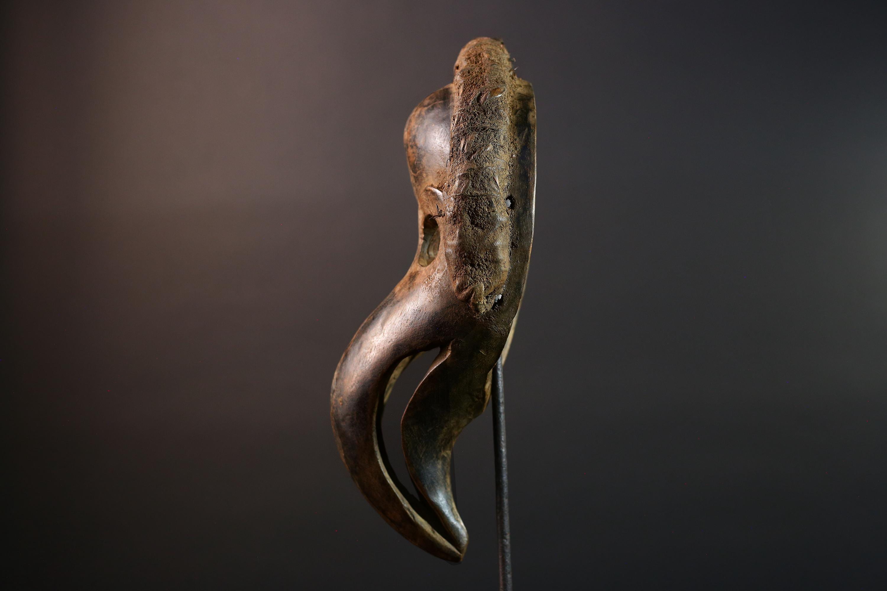 African Dan Bird Mask Hand Carved Tribal Beak Sculpture Vintage Wood Face Art Object Ceremonial Wall Decor Ethnic Home Accent G5581