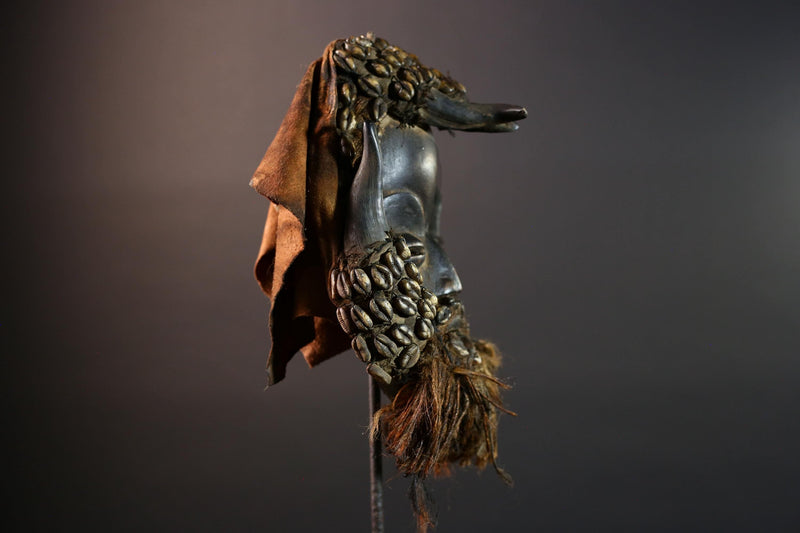 African Dan Cowrie Shell Mask Hand Carved Hardwood Ritual Art Decor from Ivory Coast with Buffalo Horn Accents for Home Display-G5650